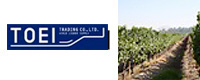 TOEI Trading Co., LTD.